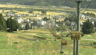 구름따라나그네님의 참깨 · 자유게시판 작성글 사진