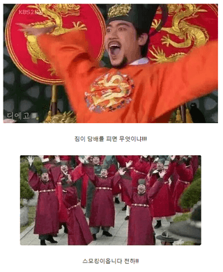 하동매님의 콩 · 자유게시판 작성글 사진