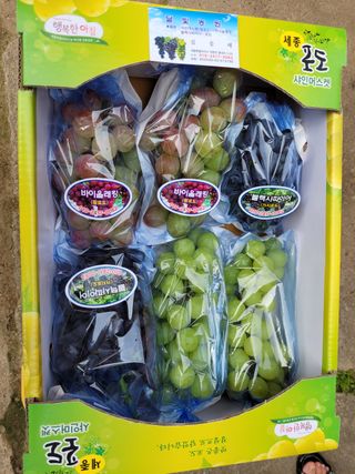 김응태 님의 작성글 사진