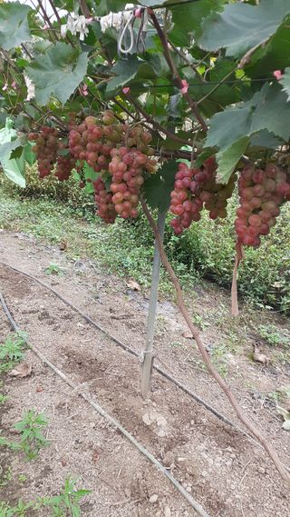 김응태 님의 작성글 사진