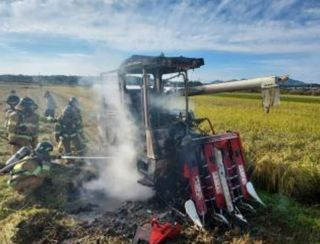 공주언니님의 양파 · 자유게시판 작성글 사진