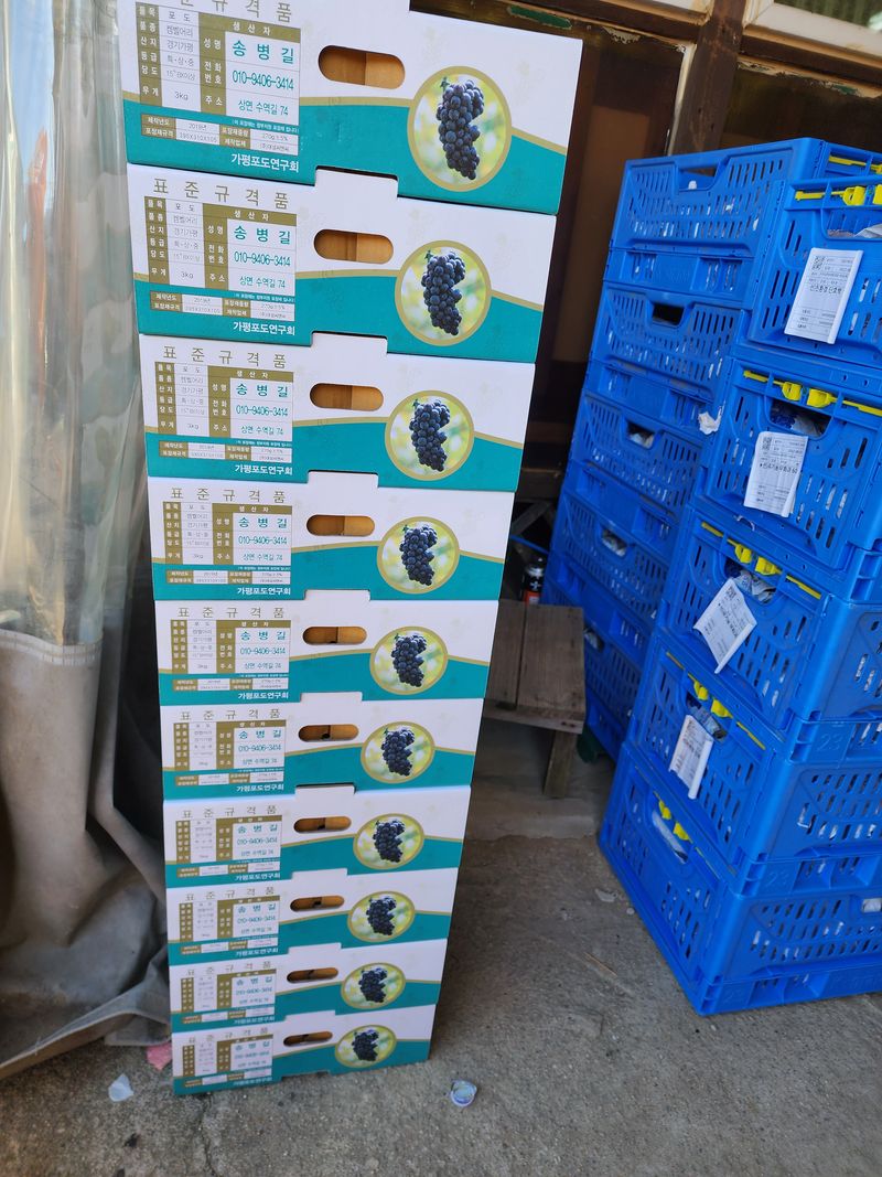 송병길님의 장터 판매 상품 [포도과즙(100%원액) 35,000원] 첨부 사진