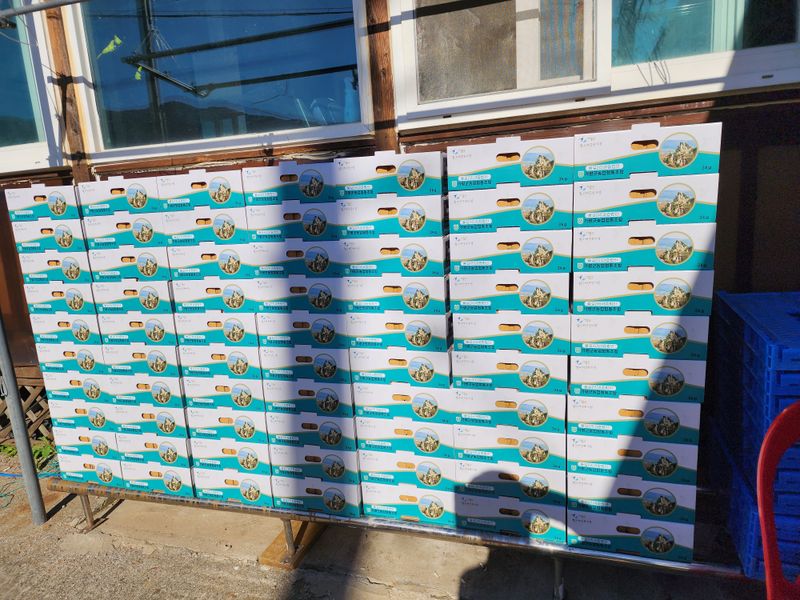 송병길님의 장터 판매 상품 [포도과즙(100%원액) 35,000원] 첨부 사진