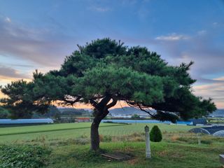 박상석님의 팜모닝 · 출석 작성글 사진