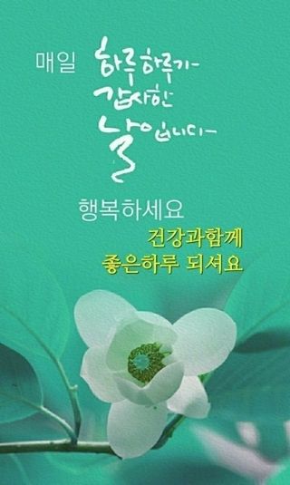 김영숙(나현 웃자님의 팜모닝 · 출석 작성글 사진