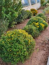 팜모닝 팜모닝·출석 게시글 이미지