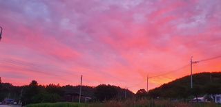 JIN님의 팜모닝 · 출석 작성글 사진