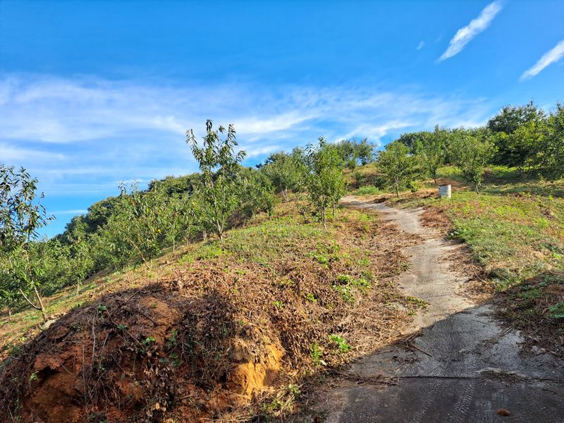 김혜진님의 장터 판매 상품 [옥광 10000] 첨부 사진