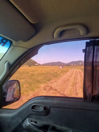 김서현님의 팜모닝 · 출석 작성글 사진