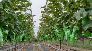 안현식님의 작성글 사진