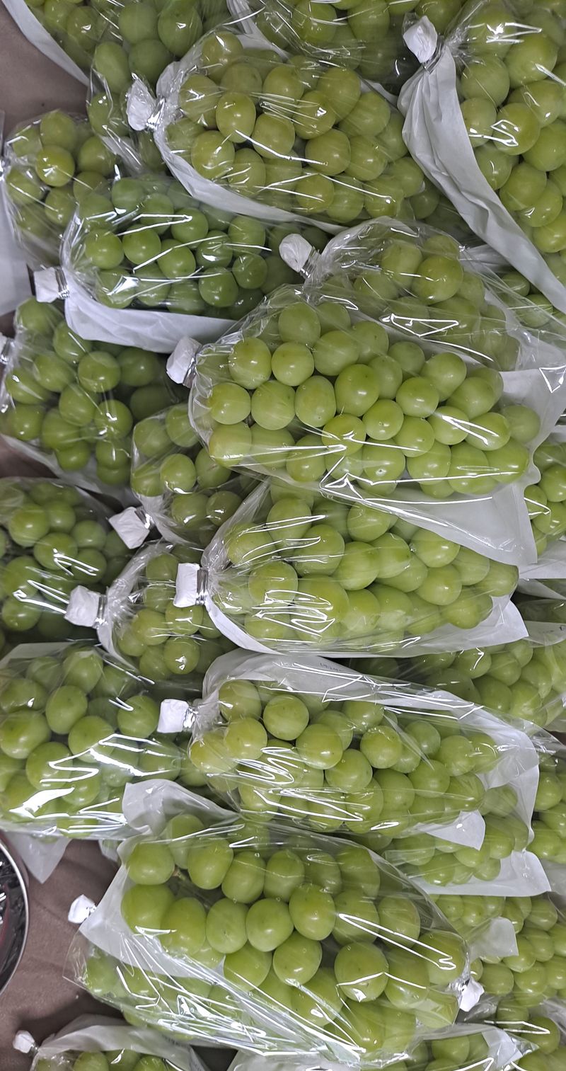 안현식님의 장터 판매 상품 [샤인머스켓 21.000(2키로)] 첨부 사진