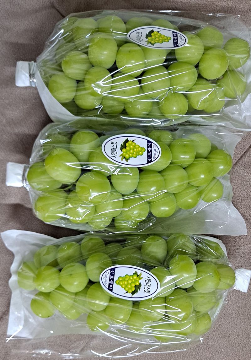 안현식님의 장터 판매 상품 [샤인머스켓 21.000(2키로)] 첨부 사진