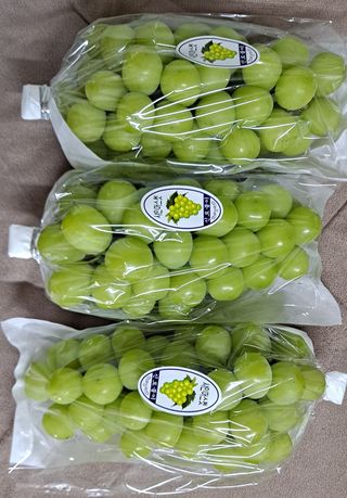 안현식님의 작성글 사진