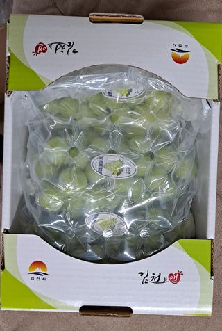 안현식님의 작성글 사진