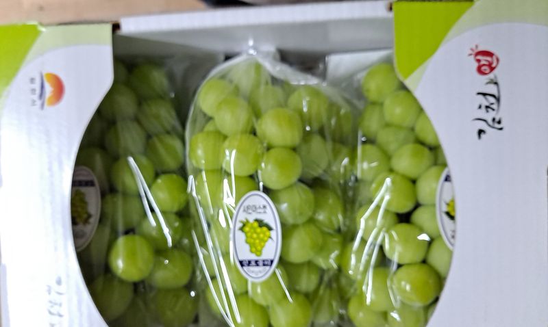 안현식님의 장터 판매 상품 [샤인머스켓 21.000(2키로)] 첨부 사진