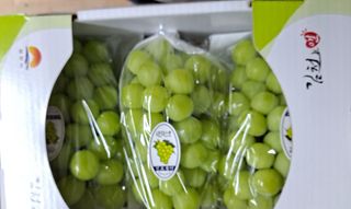 안현식님의 작성글 사진