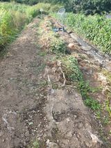 팜모닝 · 게시글 이미지