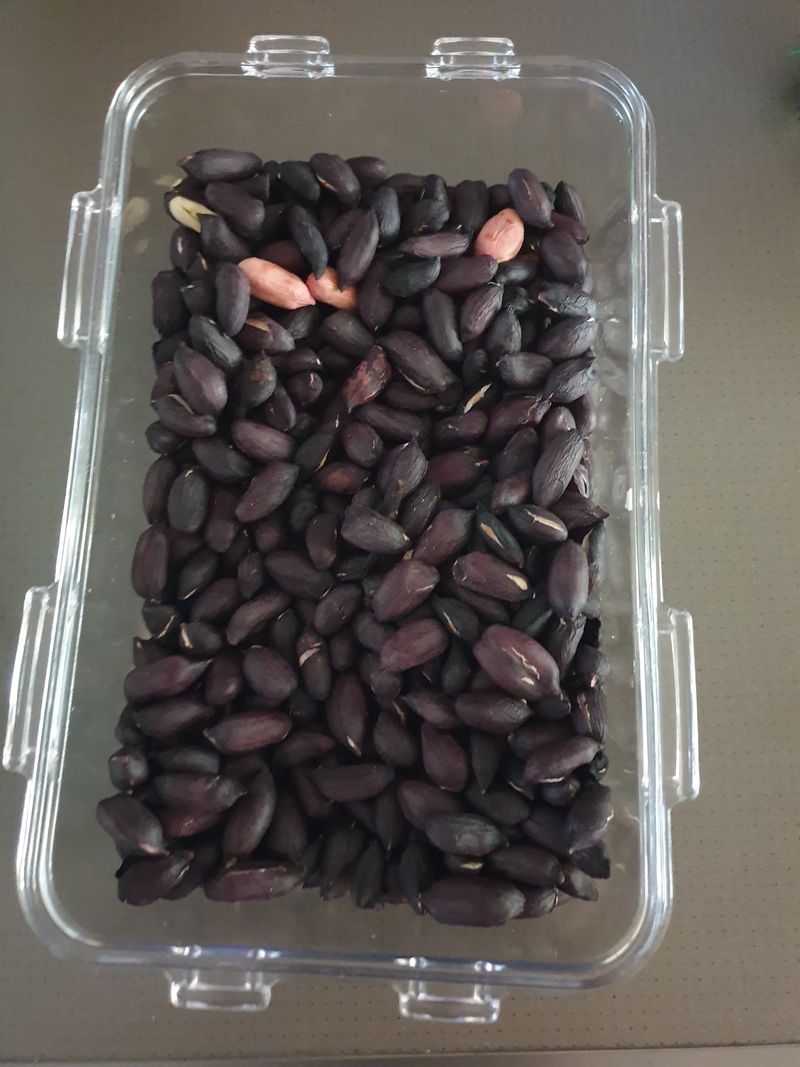 쪼짜님의 장터 판매 상품 [건조 검정 피 땅콩 25,000원(1kg)] 첨부 사진