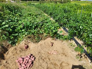 남원여시님의 작성글 사진