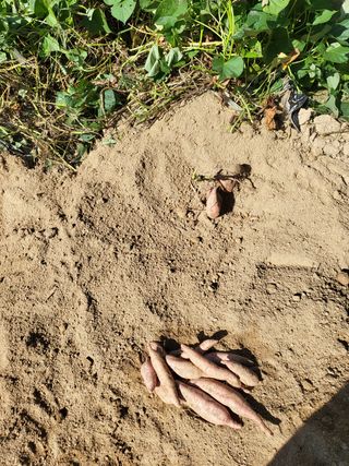 남원여시님의 작성글 사진