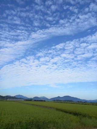 김해농부허외순님의 사과 · 일상 작성글 사진