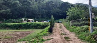 도시촌놈님의 팜모닝 · 출석 작성글 사진