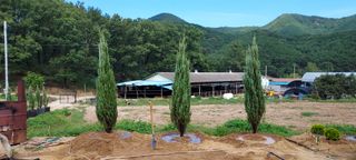 도시촌놈님의 팜모닝 · 출석 작성글 사진