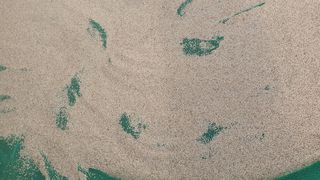 고창 다현이네님의 호박 · 자유게시판 작성글 사진