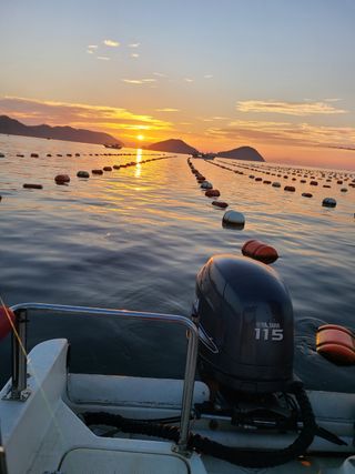 이헌석님의 참깨 · 자유게시판 작성글 사진
