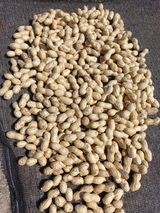 팜모닝 팜모닝·출석 게시글 이미지