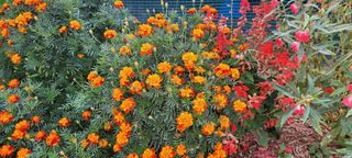 류승원님의 팜모닝 · 출석 작성글 사진