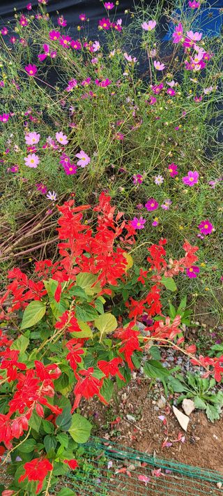 류승원님의 팜모닝 · 출석 작성글 사진