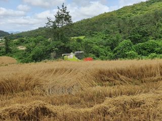 남재님의 작성글 사진