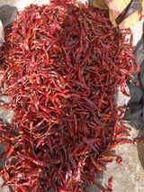 팜모닝 · 게시글 이미지