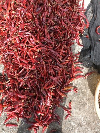 노상천님의 작성글 사진