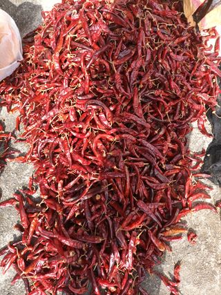 노상천님의 작성글 사진