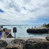 팜모닝 감·자유게시판 게시글 이미지