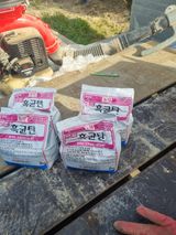 팜모닝 팜모닝·출석 게시글 이미지