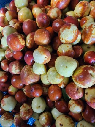 Preotu님의 팜모닝 · 출석 작성글 사진