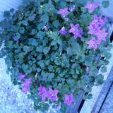 팜모닝 팜모닝·출석 게시글 이미지