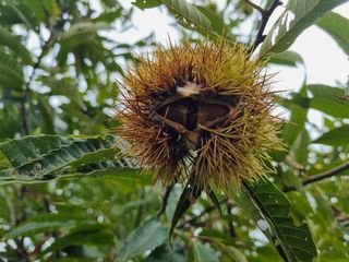 박상석님의 팜모닝 · 출석 작성글 사진