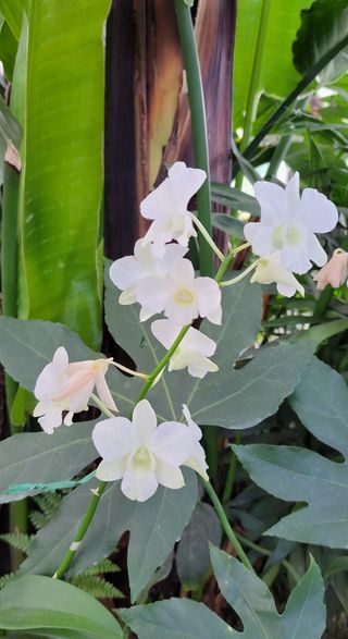 권세택 님의 팜모닝 · 출석 작성글 사진