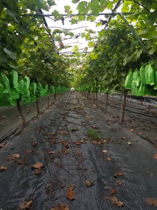 빛과소금님의 팜모닝 · 출석 작성글 사진