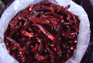 강예준구미님의 감자 · 자유게시판 작성글 사진