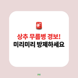 팜모닝 상추·병해충상담 게시글 이미지