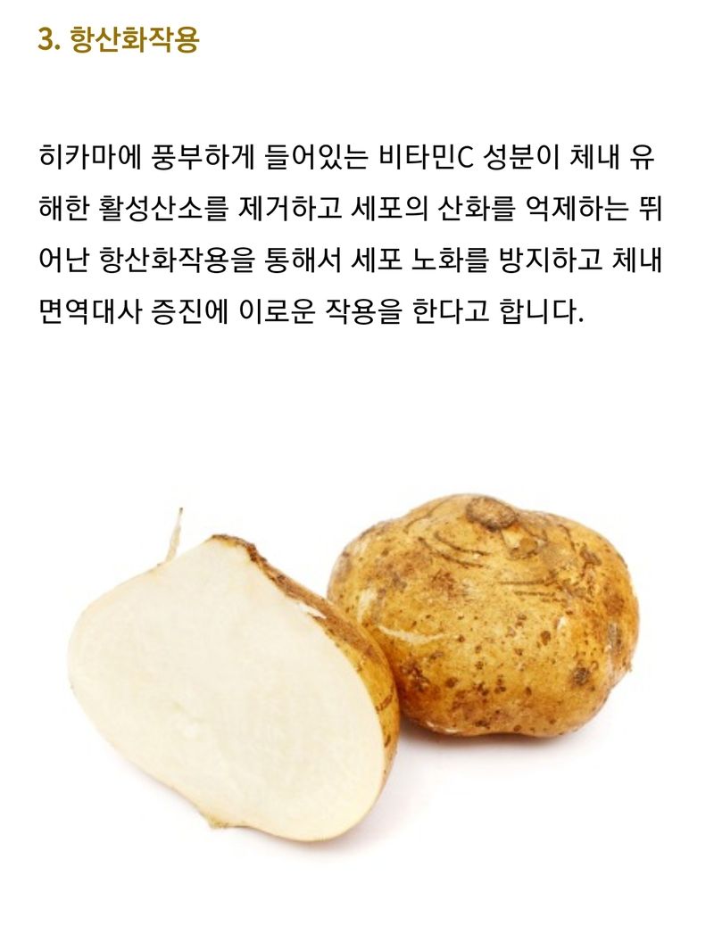 구민찬님의 장터 판매 상품 [히카마(얌빈.멕시코감자) 5키로22000원] 첨부 사진