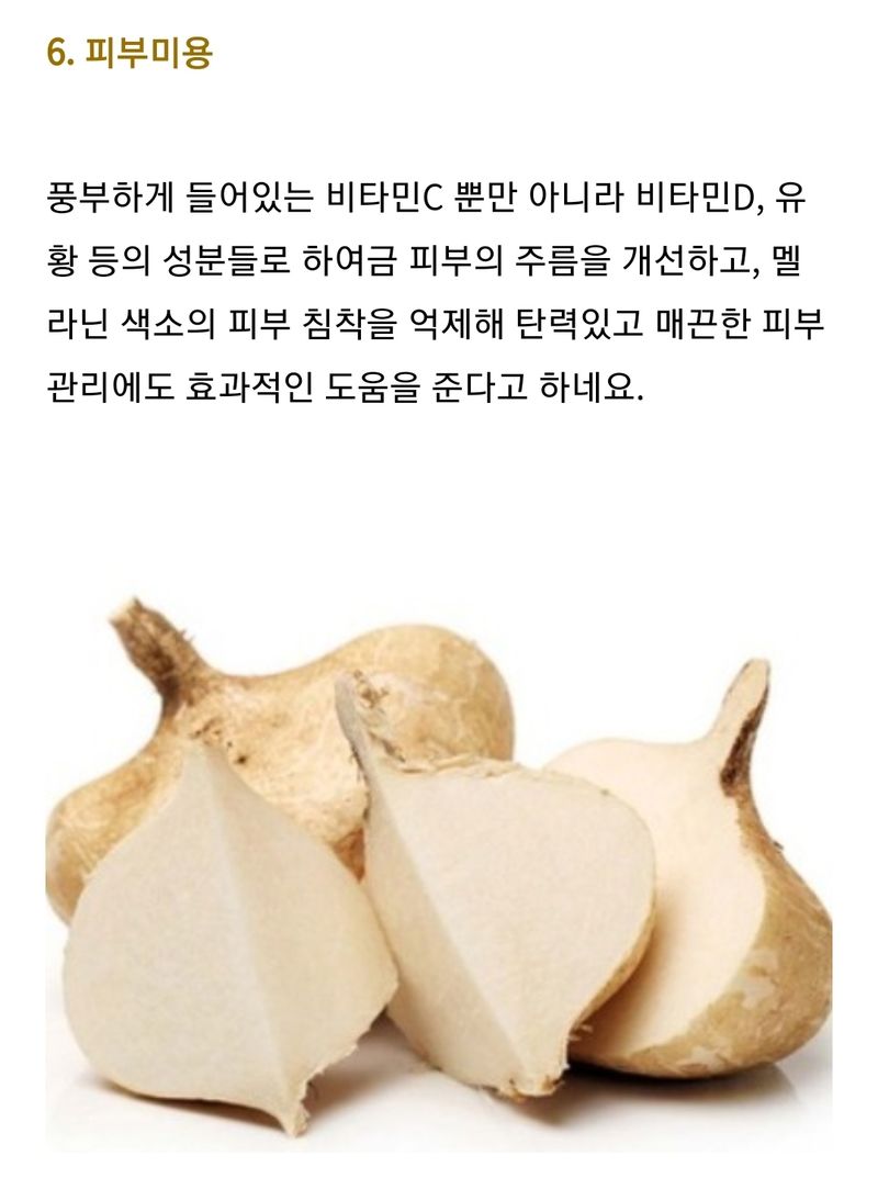 구민찬님의 장터 판매 상품 [히카마(얌빈.멕시코감자) 5키로22000원] 첨부 사진