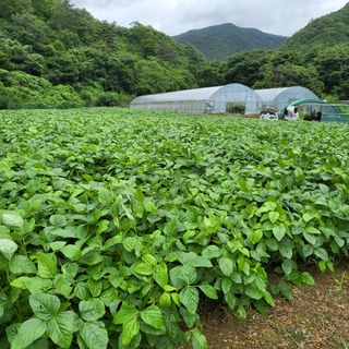 정선경님의 팜모닝 · 출석 작성글 사진