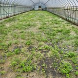 팜모닝 팜모닝·출석 게시글 이미지