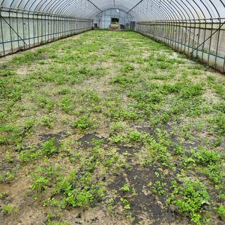 정선경님의 팜모닝 · 출석 작성글 사진